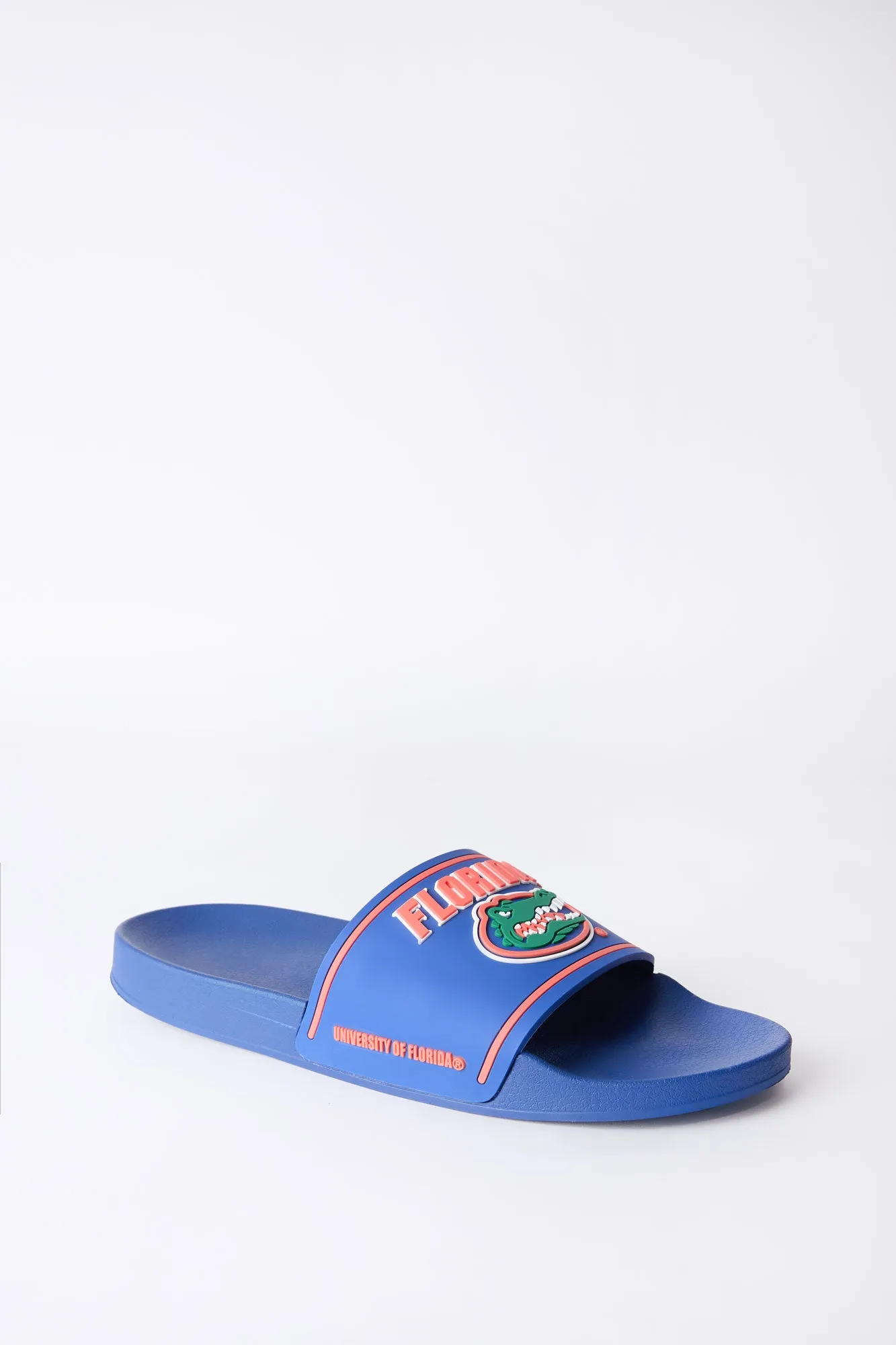 Florida Gators Slides