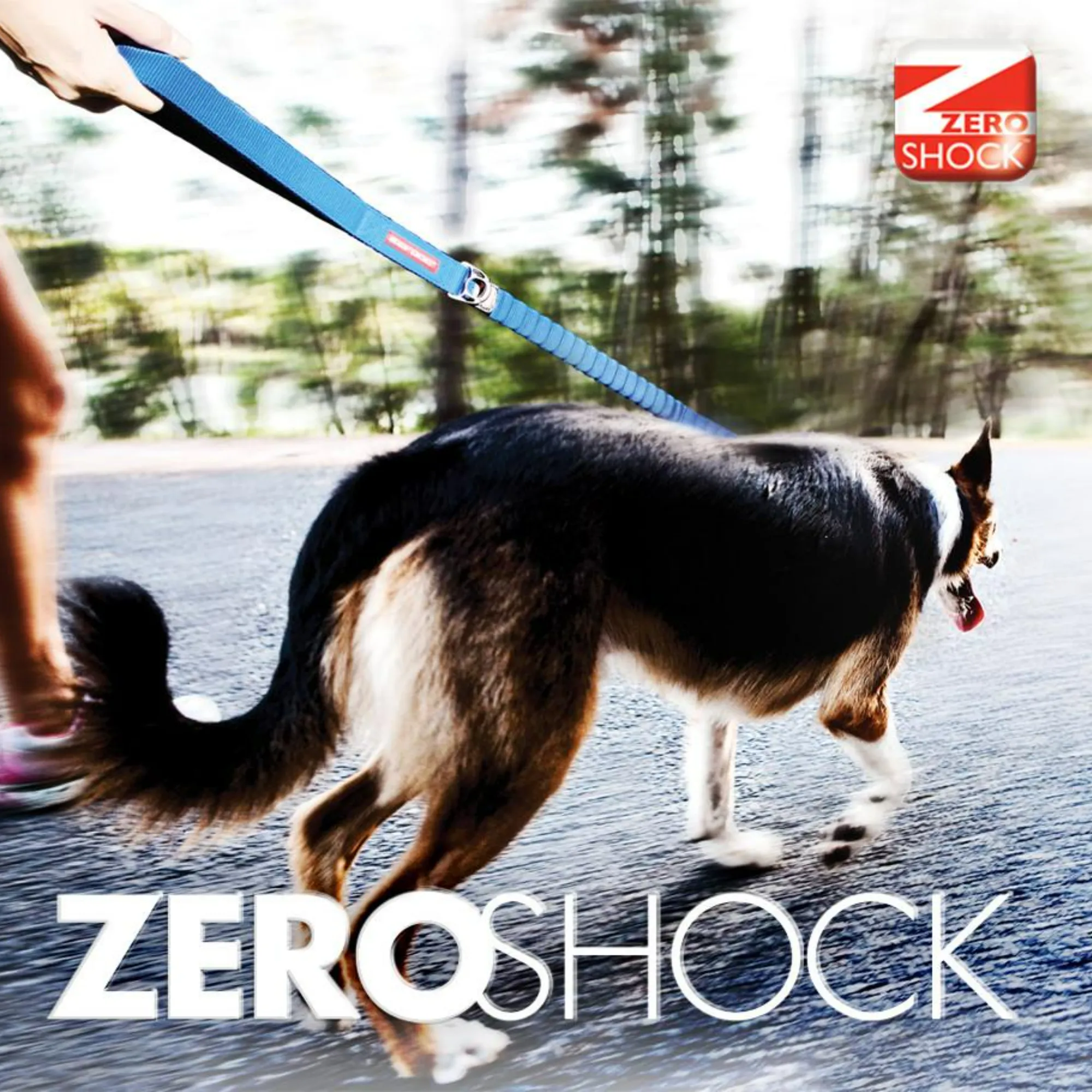 Zero Shock Dog Lead